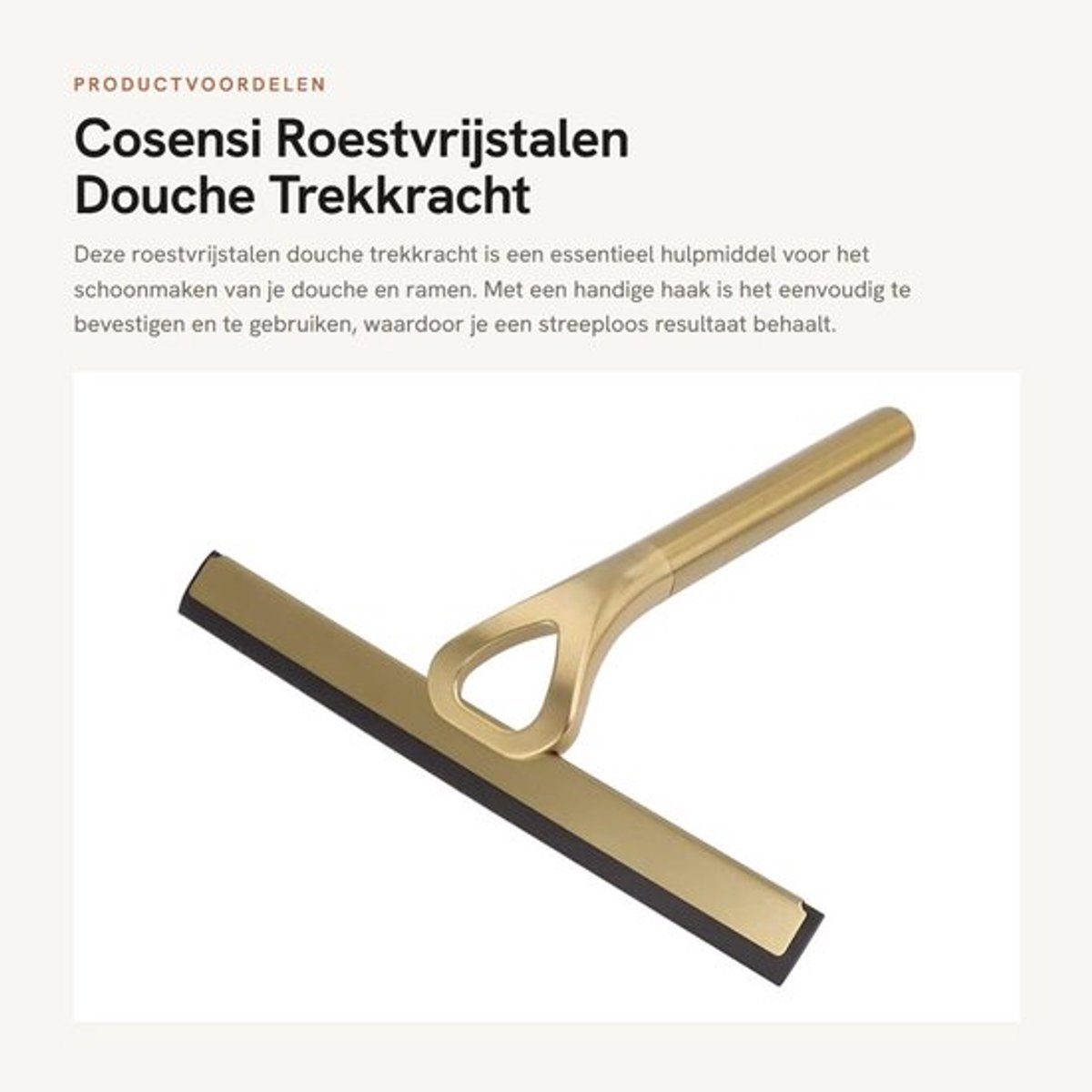 Douche Trekkracht 10-inch - Roestvrij Staal - Raamtrekkracht - Effectieve Reiniging - Antislip Handvat - Lichtgewicht 334g - Trekker