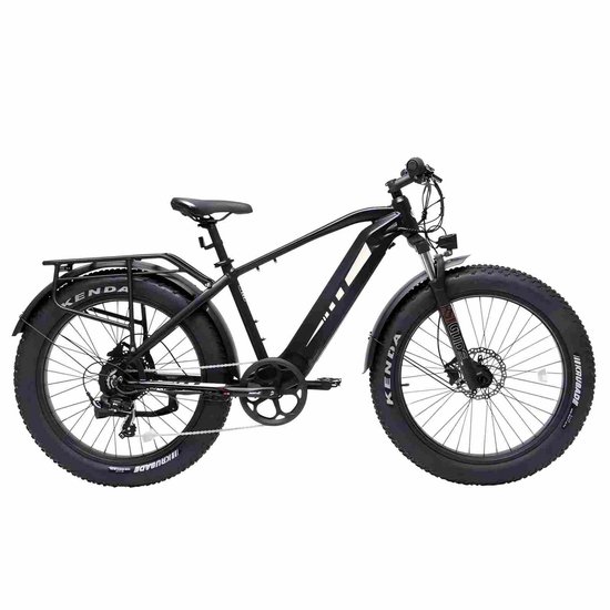 D6 Fat Tire Mountain Elektrische fiets - 48V 13.5 A batterij - 90km lange levensduur van de batterij - 250W motor - topsnelheid 25km / h — afbeelding 2