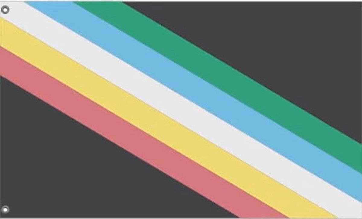 Vlag - Disability - 90x150cm
