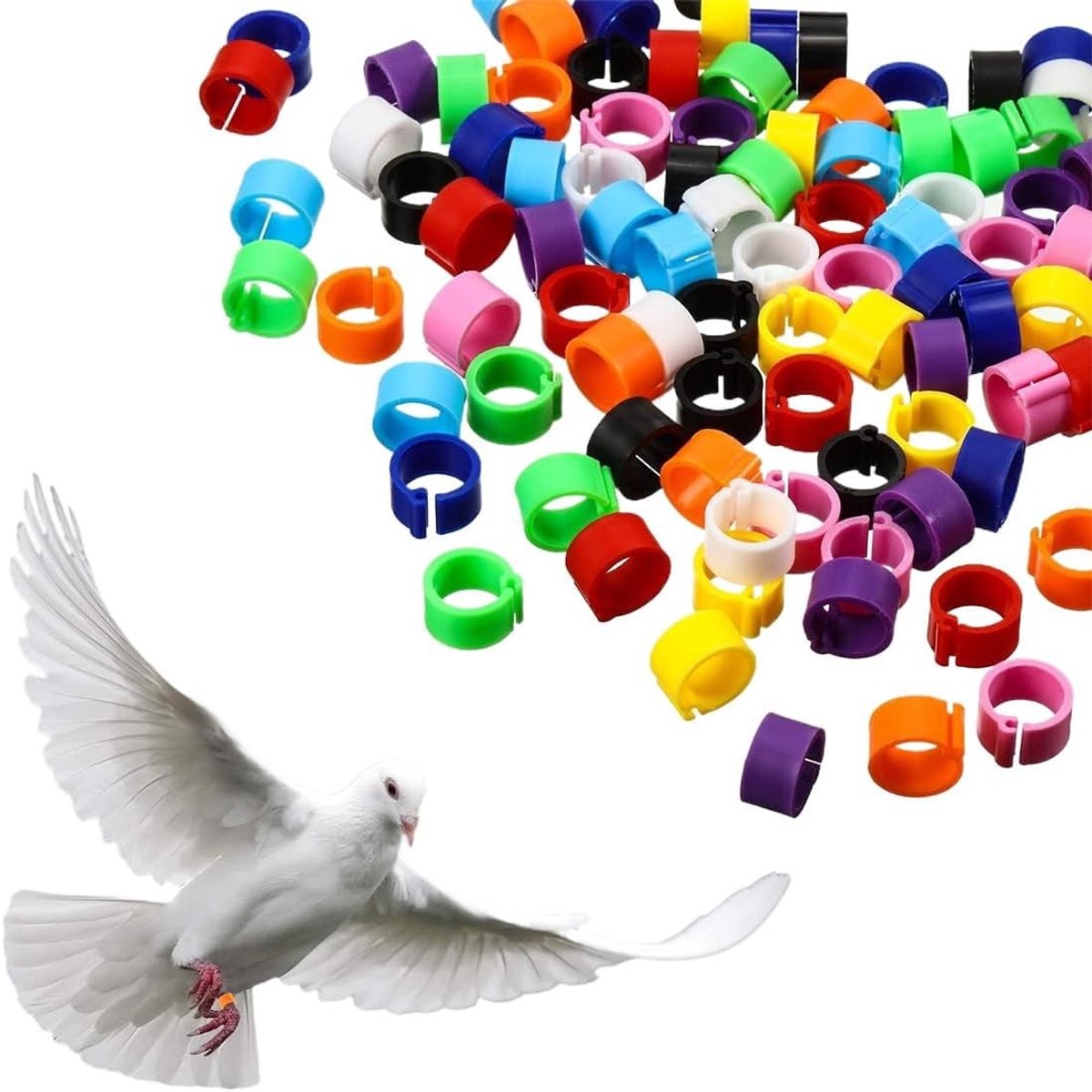 100 Stuks 8 mm Multicolore Plastic Ringen voor Kippen, Kwartels en Duiven, Inclusief Clips voor Eenvoudig Gebruik, Geschikt voor Kleine Dieren