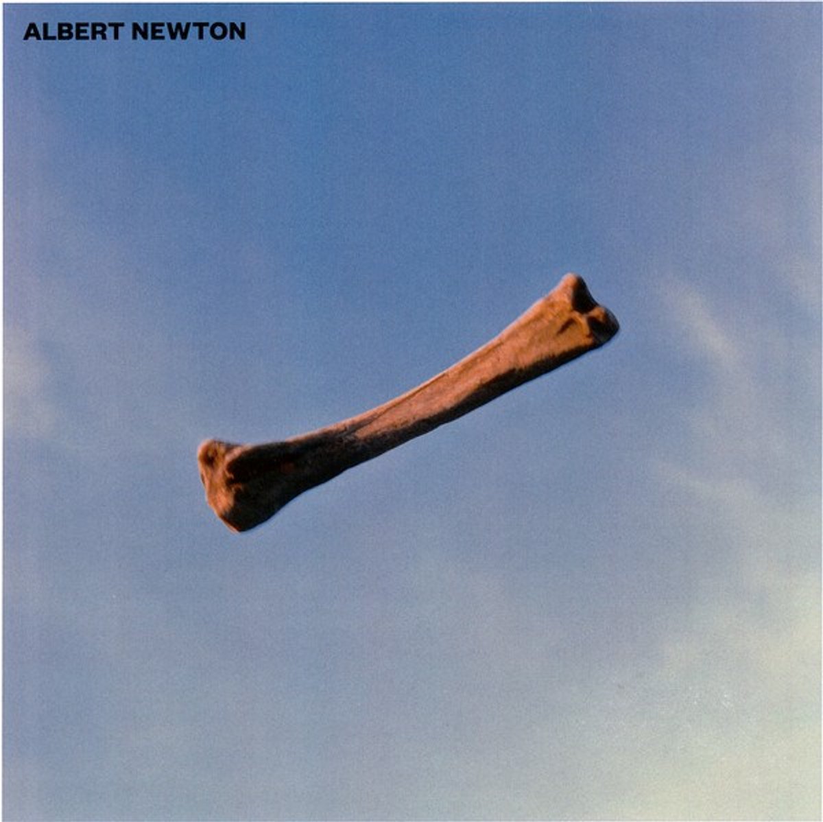 Albert Newton - Twin Earth (LP)