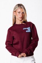 Colourful Rebel Logo Wave Relaxed Sweat- XL