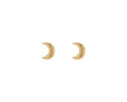 Stainless Steel Textured Crescent Moon Stud Earrings – Luxe Maan Knopjes 1 cm – RVS