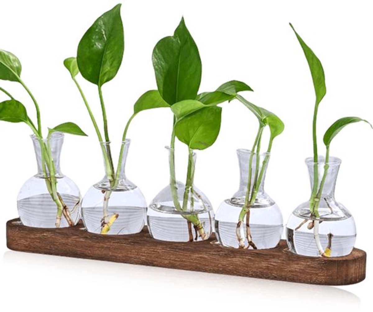 Propagatiestation 5 Glazen Vazen - Houten Dienblad - Terrarium voor Planten - Hydrocultuur Vazen - Decoratie voor Bloemen - Mini Vazen voor Stekken - Plantenvaas