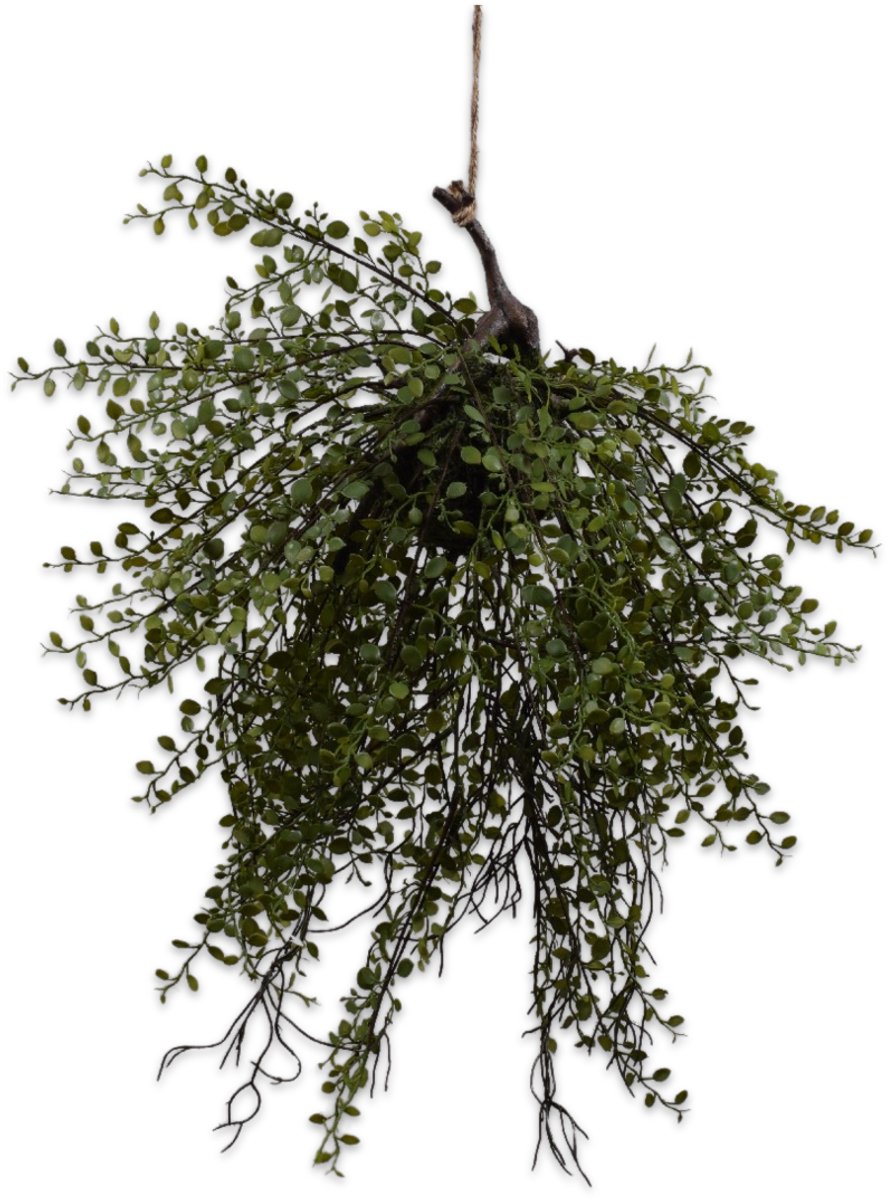 Silk-ka - Kunstplant - Hangplant - Buxes - Groen - 68 cm