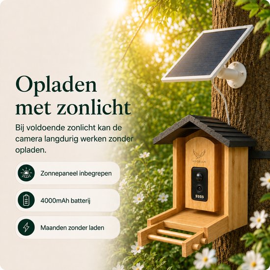 Vogelhuisje van bamboe met camera en zonnepaneel, hangend aan een boom. Opladen met zonlicht, 4000mAh batterij, maanden zonder laden.