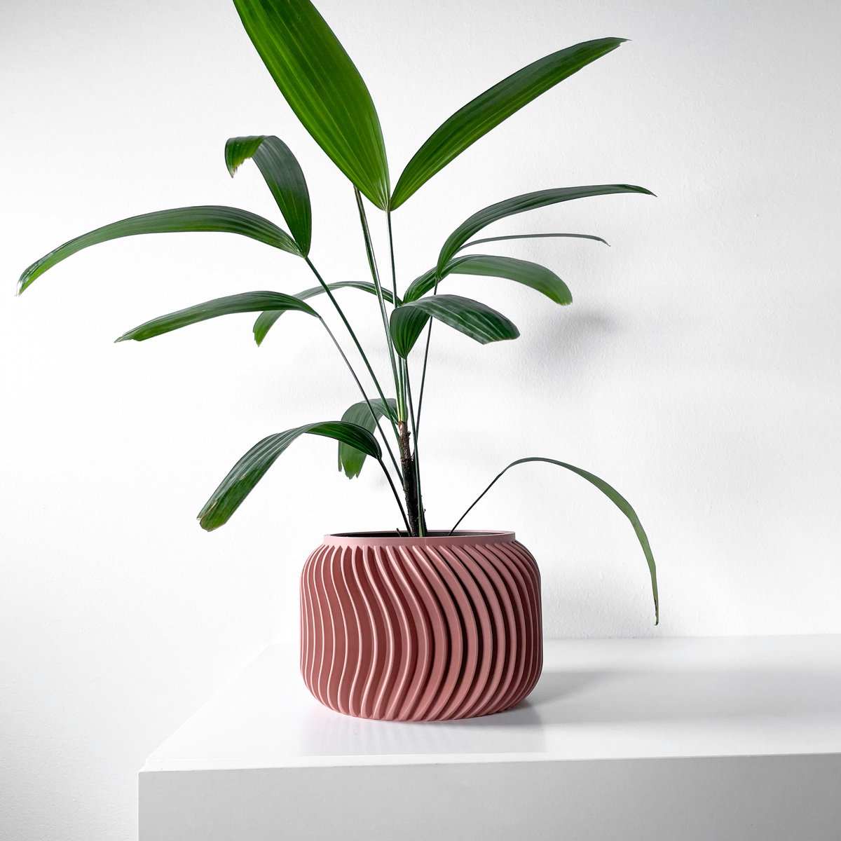 Skushy Vilexplanterold Bloempot - Moderne Designpot voor Kamerplanten - Sculpturale Plantenpot voor Woonkamer en Kantoor - Premium Woondecoratie