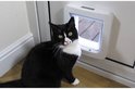 Zwarte kat met witte borst zit naast een wit kattenluik met transparante klep.