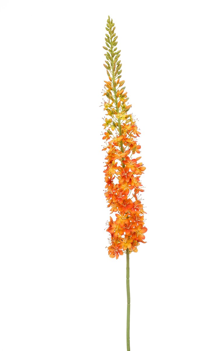Emerald - Kunstbloem Eremurus XL 130cm oranje - Kunstplant voor binnen