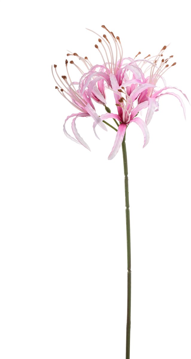 Emerald Kunstbloem Nerine 63cm lichtroze - Kunstplant voor binnen