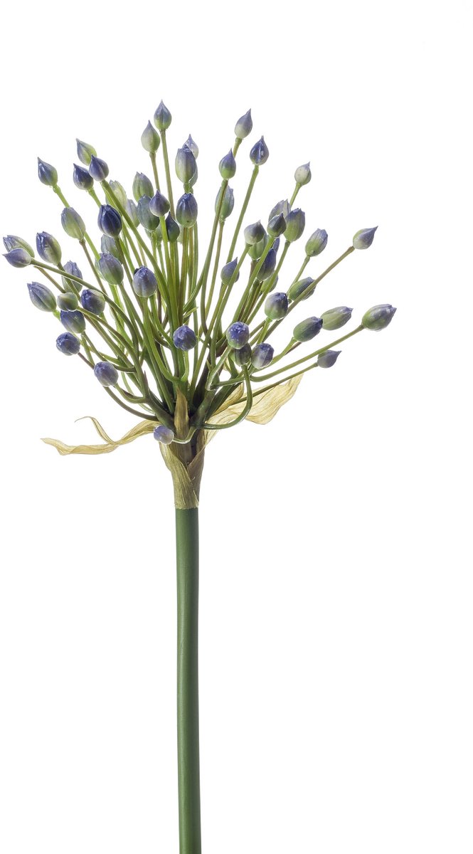 Emerald Kunstbloem Allium bloemknoppen 70cm blauw - Kunstplant voor binnen
