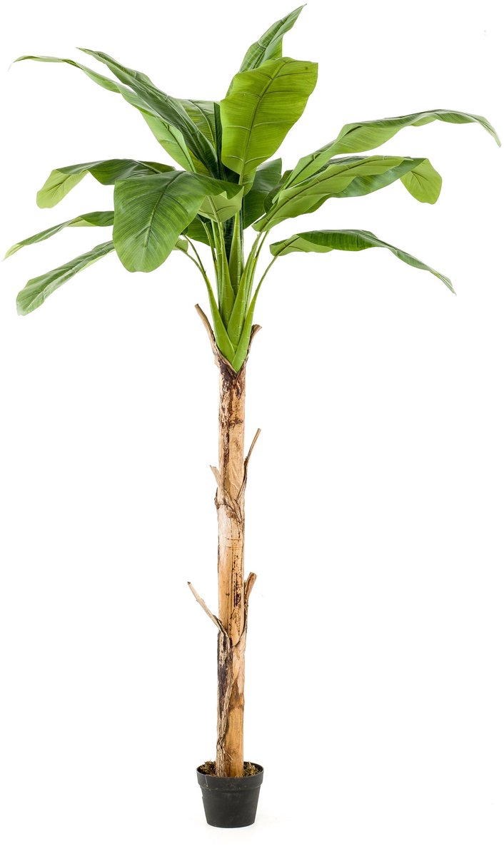 Emerald - Kunstboom Bananenboom 210cm - Kunstplant voor binnen