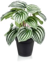 Emerald - Kunstplant in pot Peperomia groen/grijs 25cm - Kunstplant voor binnen
