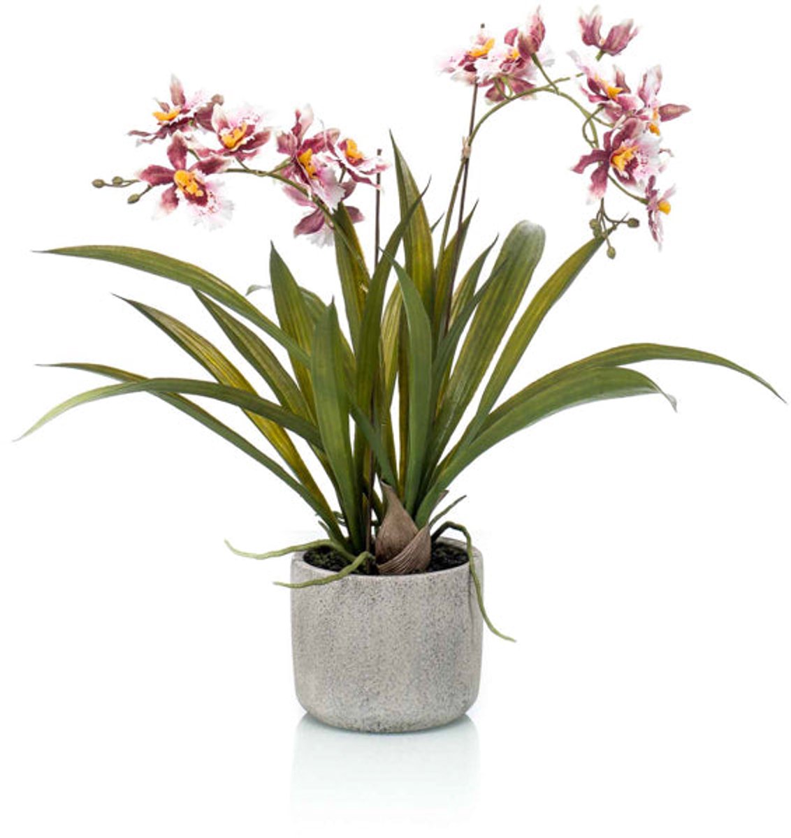 Emerald Kunstplant in pot Oncidium bordeux 45cm - Kunstplant voor binnen Bordeaux