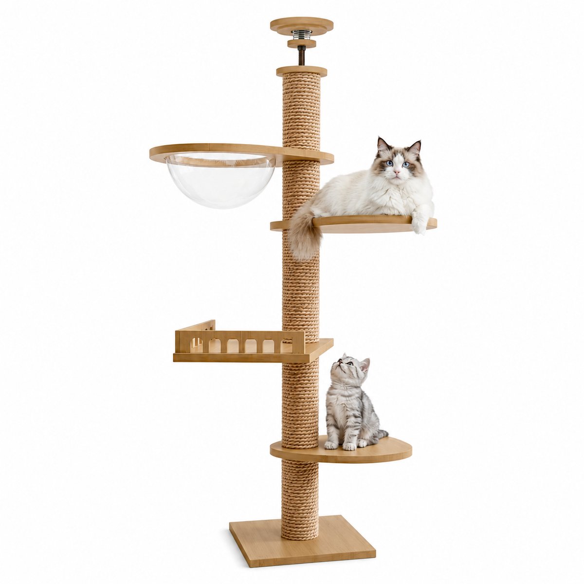 NordPaw® Plafond Kattenkrabpaal Verstelbaar 240-270 cm - Kattenboom van Massief Hout met Transparante Hangmat, Krabpaal, Ligplateaus en Pluche Ligbed - Naturel - 240-270 cm