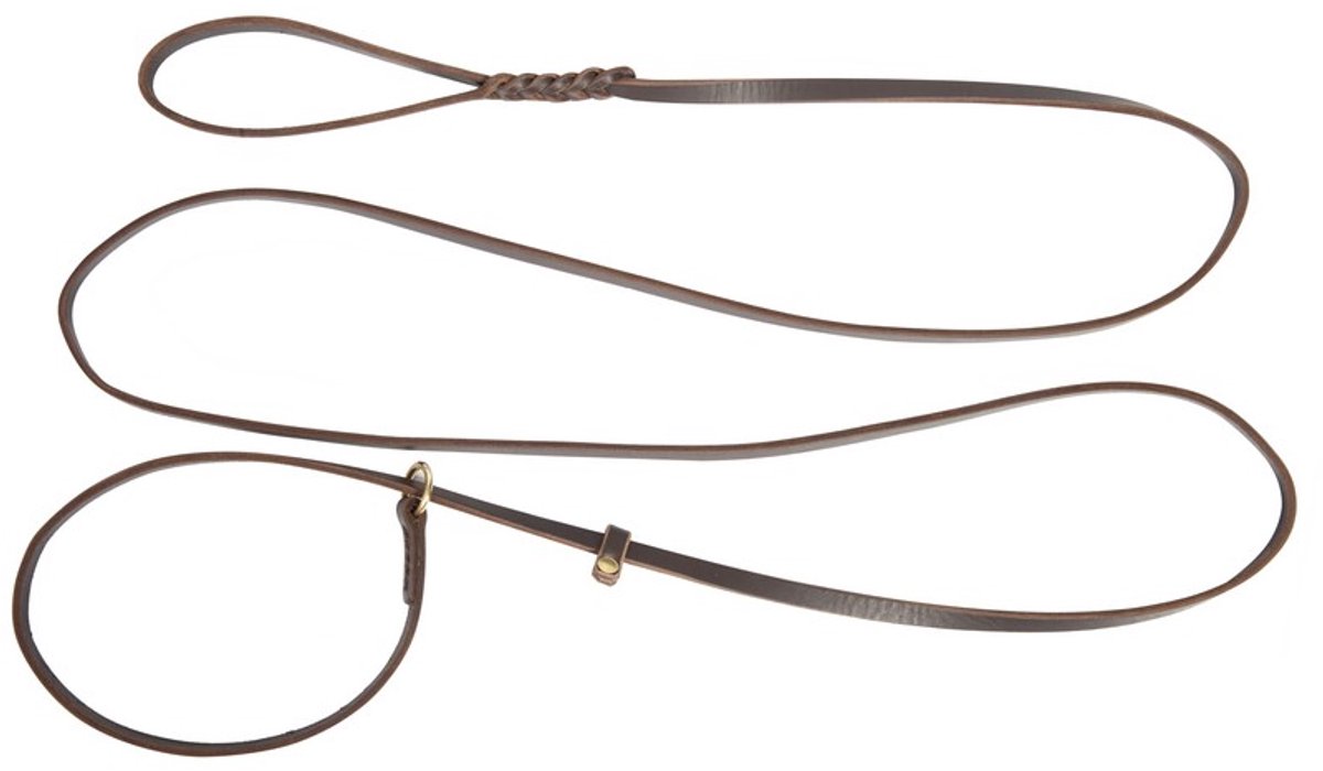 Leren Halsband & Lijn Set - 1.0x250cm - Bruin