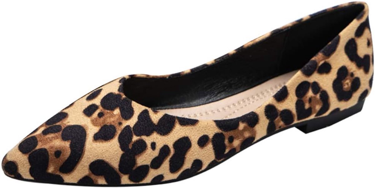 Balletpumps Dames - Puntige Neus - Lichtgewicht - Perfect voor Dagelijks Gebruik - SnelShoppen