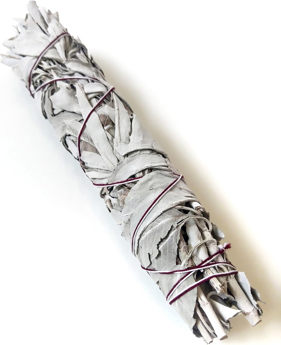 Witte salie grote bundel 24 cm - Californische wierook - handgeoogst - perfect voor rookceremonies - ShopVlot