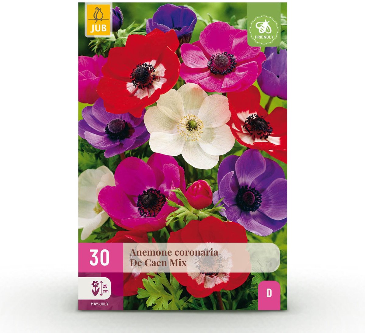 Bloembollen - Anemone de Caen mix - Diversen Kleuren - 30 stuks - Bolmaat 5/6 - XXL Pack