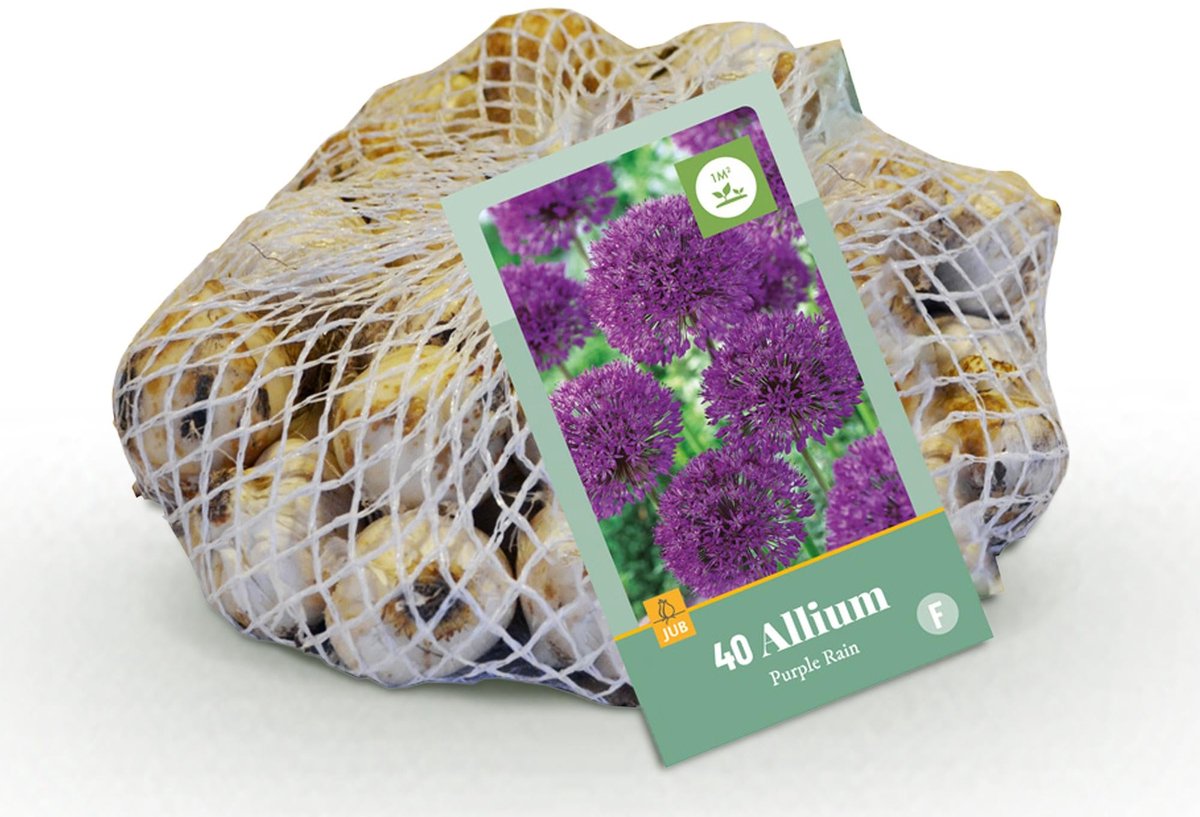 Bloembollen - Allium Purple Rain - Kleur Paars - 40 stuks - Bolmaat 10/12
