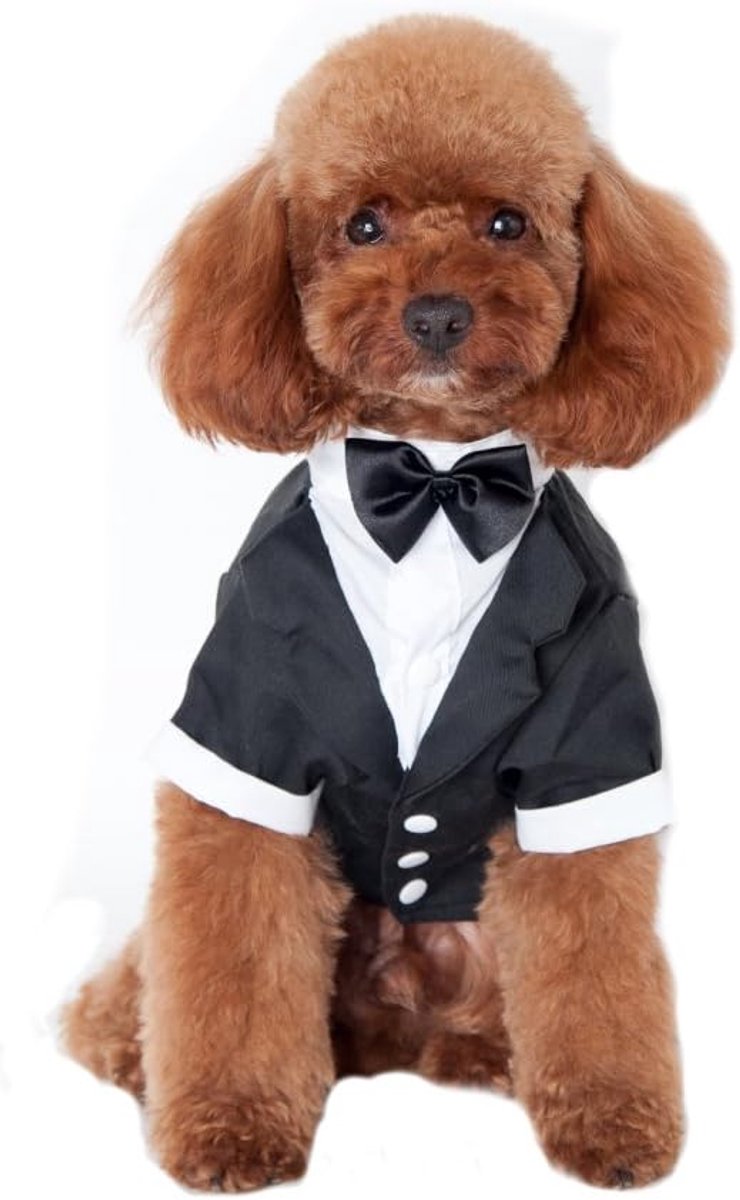 Hond Kat Kleding Prins Tuxedo Schattig Vlinderdas Pak Puppy Kostuum Coat XXL Doek