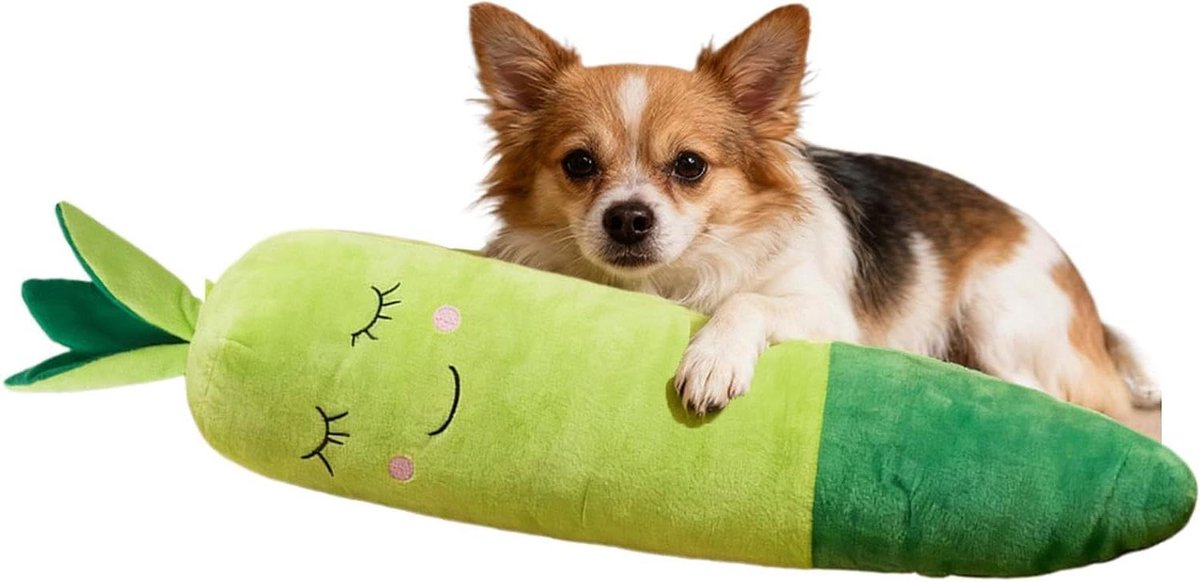 Hondenspeelgoed Wortel - Hondenknuffel Kauwspeelgoed - Interactief Spelen - Kauwbestendig Pluche - 75 cm - Groen