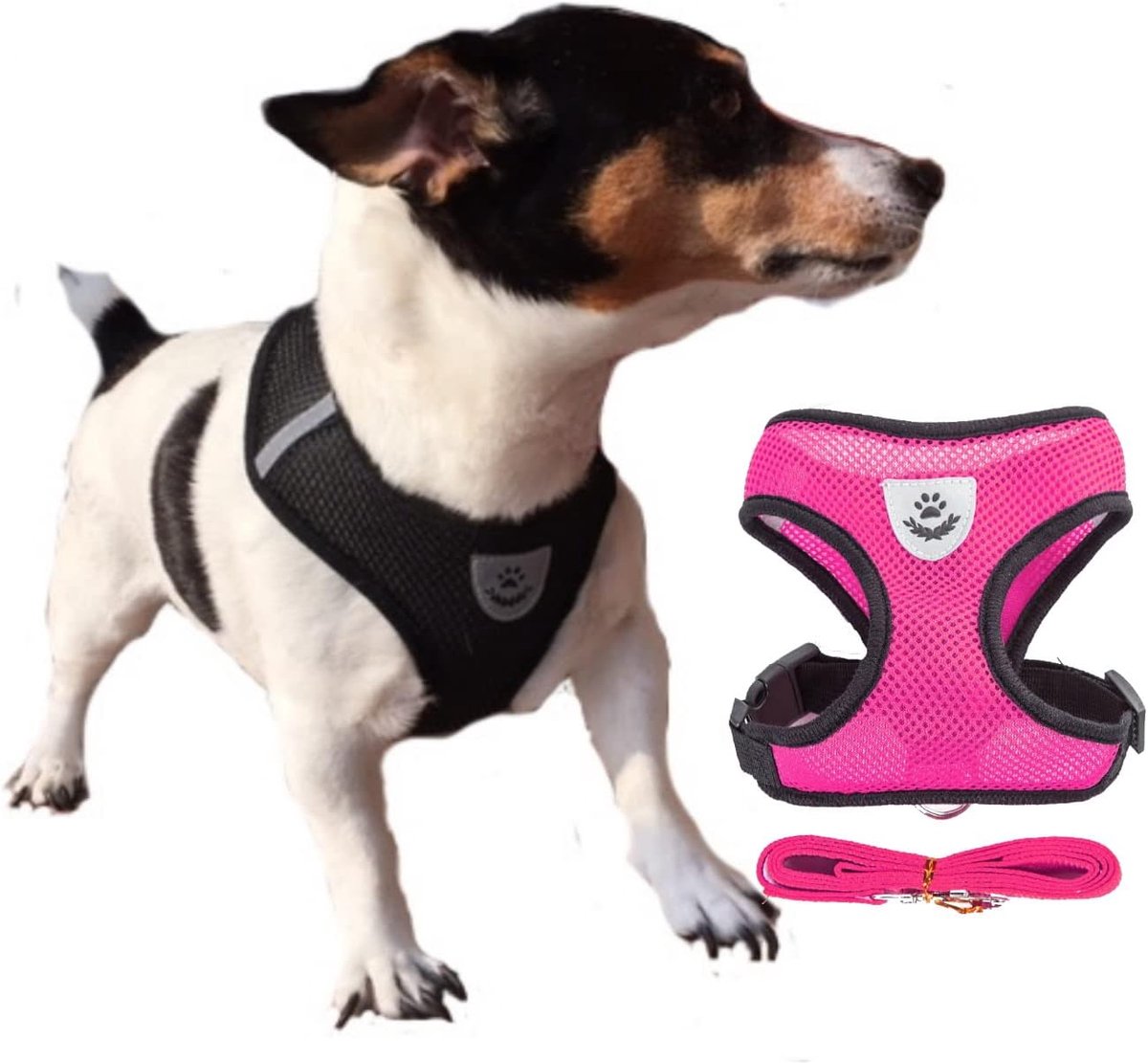 Harnas S - Geventileerd - Voor katten/puppies - Comfortabel en veilig - ShopVlot