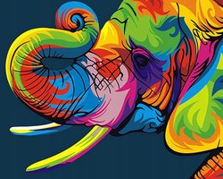 ifymei Schilderen op Nummer Kit: Olifant - Acrylverf & Penseel Set