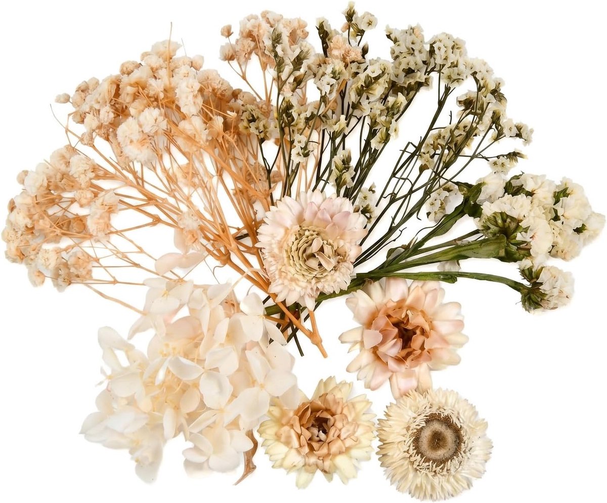Natuurlijke gedroogde mini-bloemen - gemengd - compact formaat - perfect voor creatief werk - ShopVlot