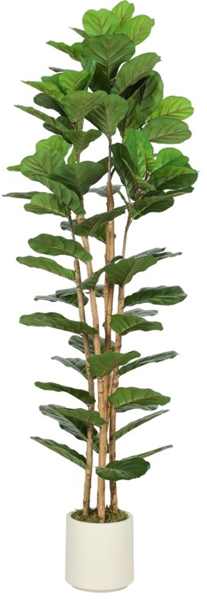 Kunstplant Vioolbladplant 180 Cm Met 91 Bladeren Hout Kunststof Groen Voor Binnen Met Pot En Flexibele Vormgeving