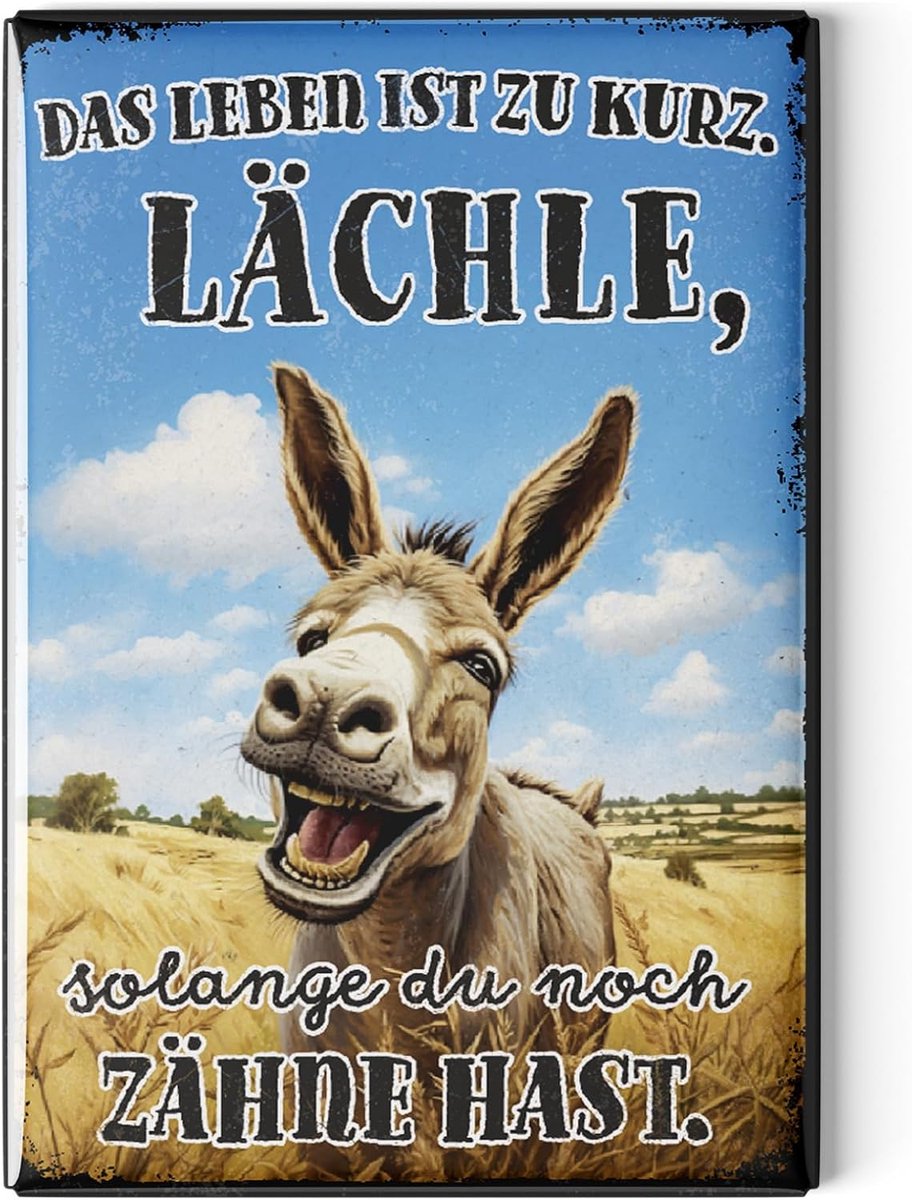 Fridge magnets grappig 8x5.5 cm - retro ontwerp - met leuke spreuken - breng vrolijkheid in huis - ShopVlot