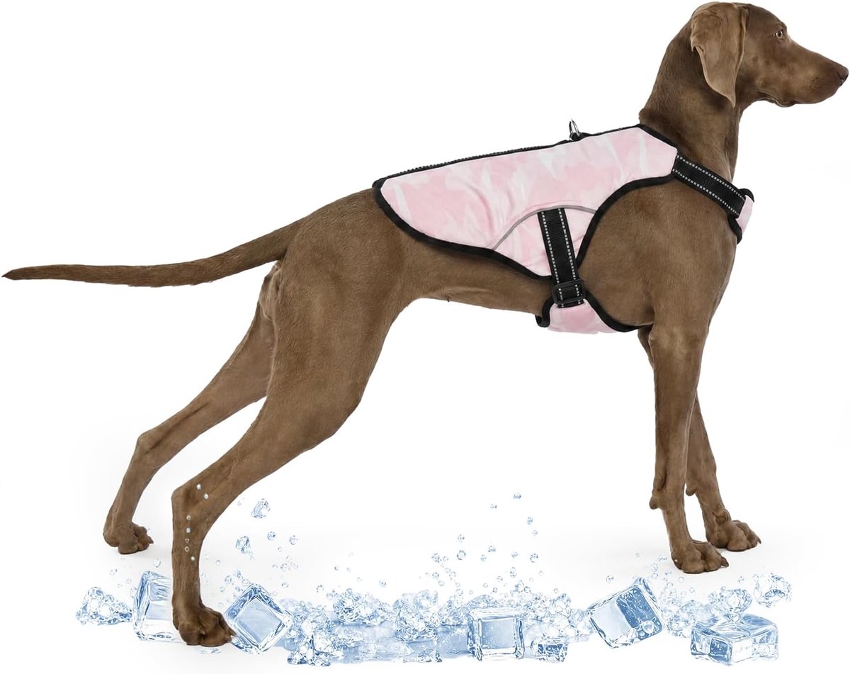 Koelkleding voor honden, instant koeling en herbruikbaar gaas-ijsvest, zomerkleding voor honden, verstelbare bandjes, cool vest voor extra grote honden (roze, XL)