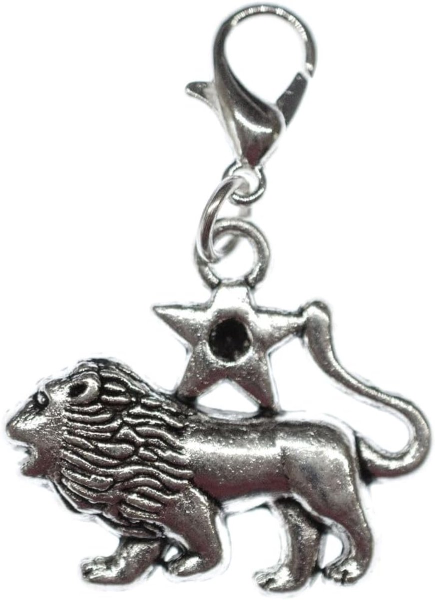 Leeuw Charm ster sterrenbeeld horoscoop - handgemaakte modesieraden I kettinghanger verzilverd - bedelhanger - hanger voor armband, 20 mm