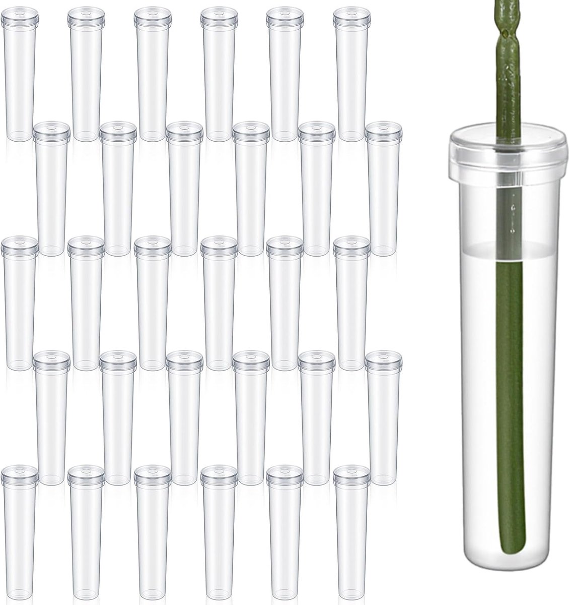 Reageerbuizen voor bloemen 72 x 18 mm - transparant - herbruikbaar - ideaal voor bloemstukken - ShopVlot