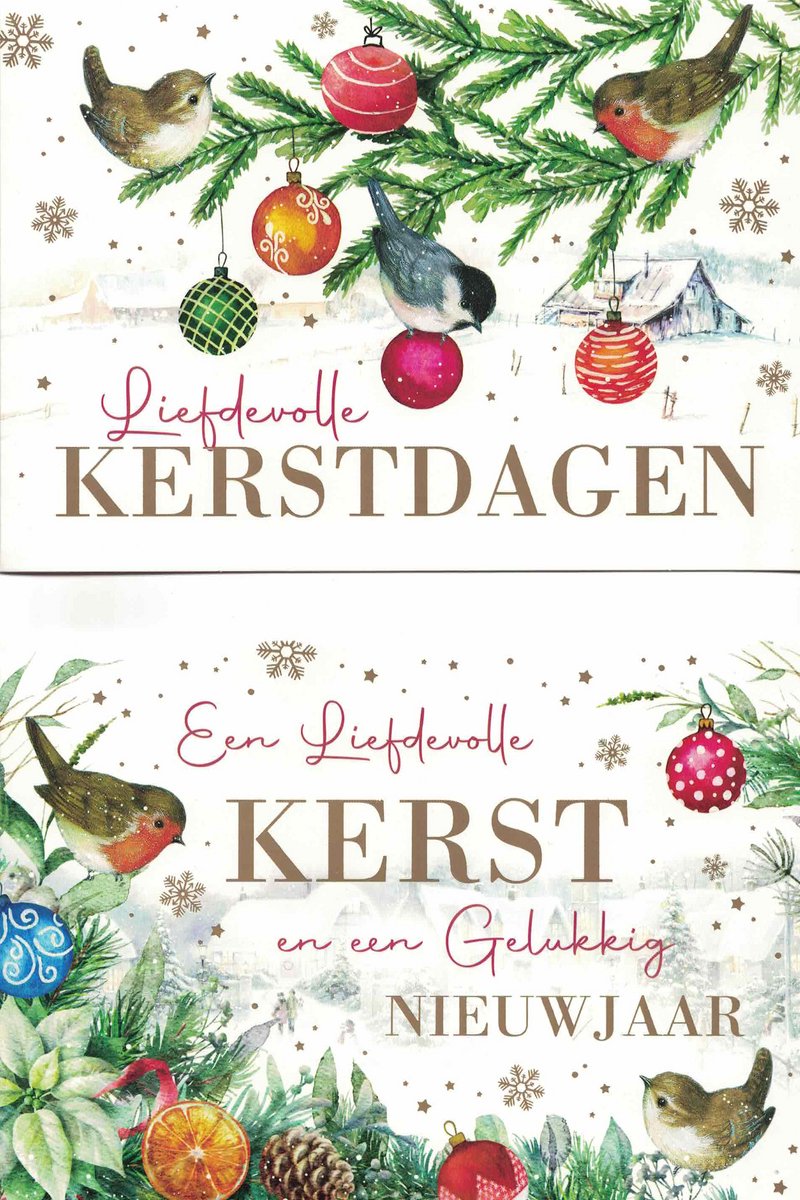 Wenskaarten - kerstkaart - set van 8 - 8 luxe kerstkaarten - 2 x 4 luxe kerstkaarten met envelop