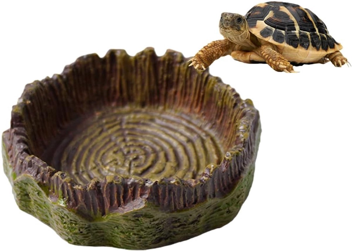 Terrarium Reptielen Accessoires Voederschaal voor Luipaardgekko Bartagame Voerbak