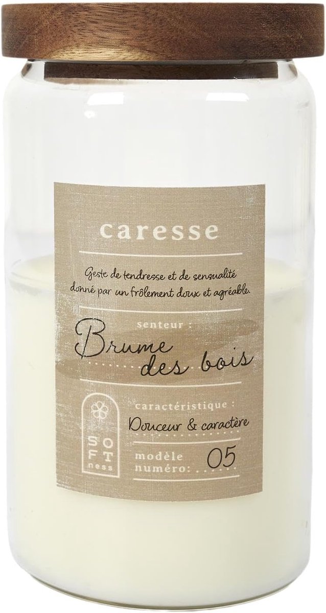 Geurkaars in Glas Ø 9 x 16.5 cm - Brume des Bois Geur - Luxe Design - Creëert een Rustgevende Sfeer - SnelShoppen