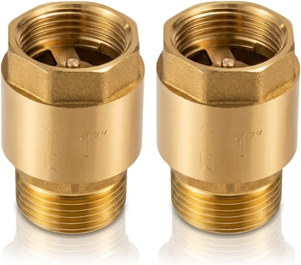 terugslagklep 1 inch,terugstroombeveiliger,1" retourklep,roestvrij