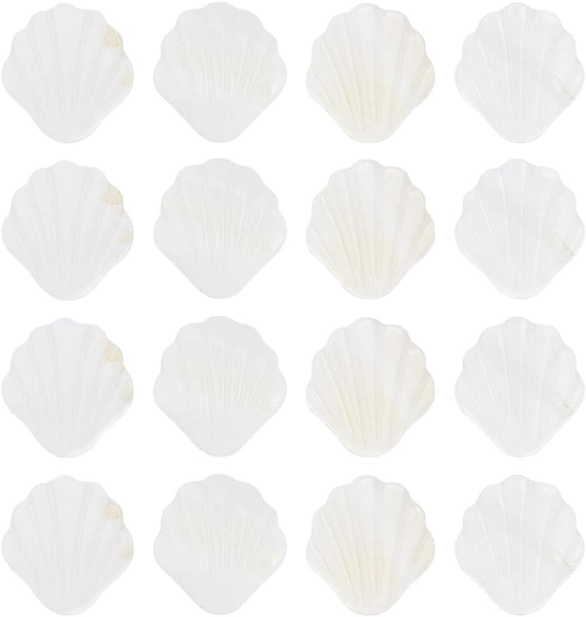 1 Doos 30 Stks Sint-jakobsschelp Kralen Platte Schelpen Kralen Bulk Imitatie Parel Wit Natuurlijke Zoetwater Zomer Oceaan Losse Spacer voor Sieraden Maken DIY Ketting Armbanden Craft