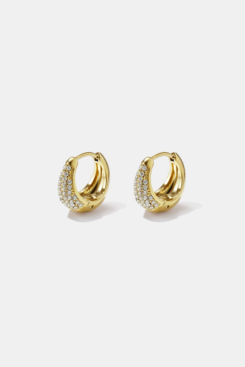 Stainless Steel Hoop Earrings Irregular Shape Simple Daily Simple Series Women's Jewelry - Goud
