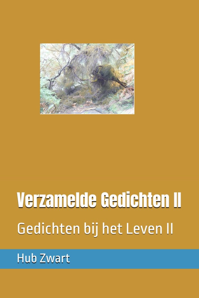 Verzamelde gedichten - Poëziebundel - Reflectie op het leven - Inspirerende teksten - ShopVlot