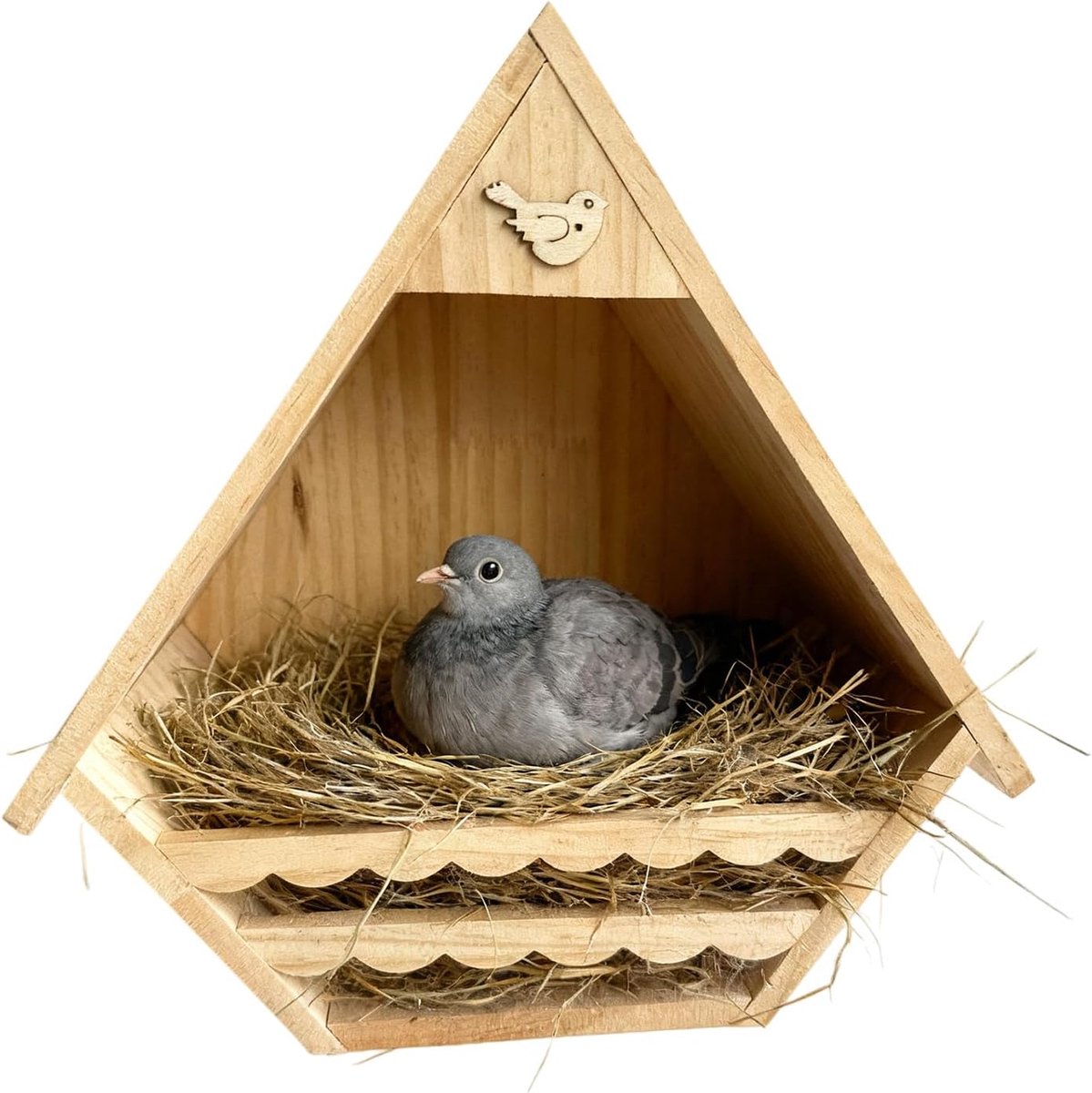 Vogelhuisje Matkop Nestel Habitat | Vogelhuis Op De Voor Vink Mus Zwaluw Winterkoning Duif Kolibrie In Tuin Terras En Buiten
