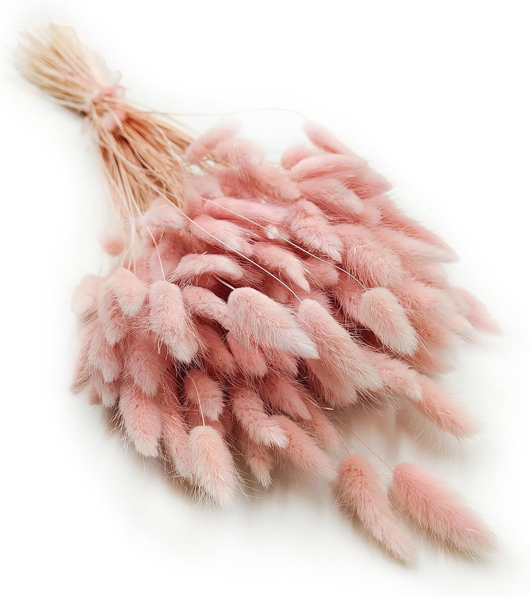 Dekogras, gedroogd gras, siergras, hazenstaarten, lagurus, ovatus, fluweelgras, haasstaartgras, droogbloemen, natuurlijk boho, 120 - 150 stuks, 100 g, parelroze