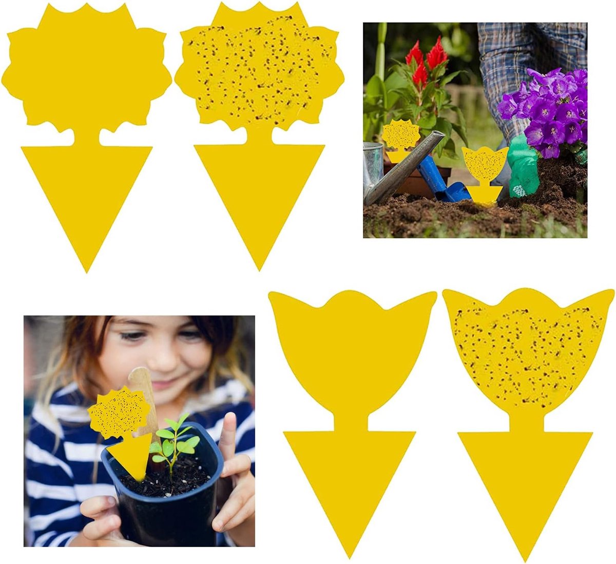 Insectenval 50 stuks - zelfklevend - dubbelzijdige lijm - ideaal voor balkonplanten - ShopVlot