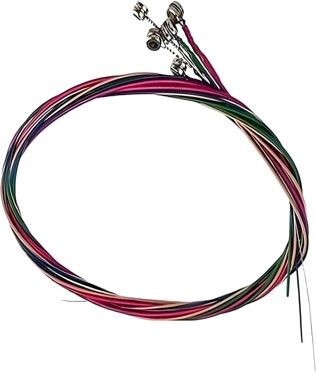 Gitaar Snaren 6 Stuks - Roestvrij Staal - Multicolor - Verrijk uw geluid - ShopVlot