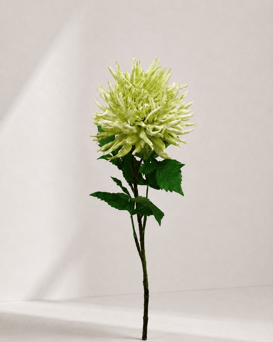 Zijden Bloem - Kunstbloem Chrysant - Groen - 78 cm