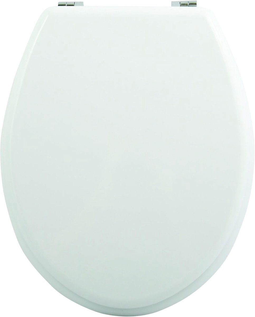 Toiletbril zink, met scharnieren, wit/zilver, 25 x 25 x 5 cm
