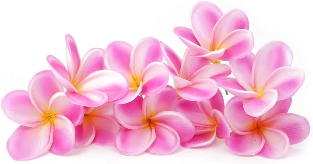 Dailygoods- Kunstbloem Bundel van 10 - Levensechte Plumeria - Kunstbloemen voor Bruiloft - Hawaii Thema - Decoratie voor Feest - Afmetingen 9cm - Nepbloem