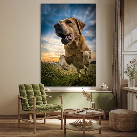 Ciel coloré au dessus de ce Poster Labrador Retriever 120x180 cm - Tirage photo sur Poster (décoration murale salon / chambre) / Poster Animaux domestiques XXL / Groot format!