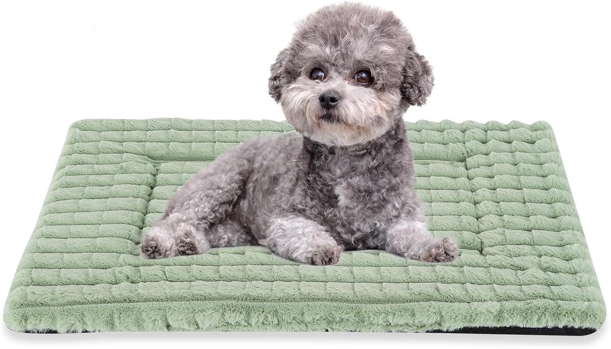 Hondenbed, wasbare kratmatras, antislip, traagschuim, zacht warm huisdierkussen voor kleine tot middelgrote honden, kalmerend, pluizig, slaapkennelkussen XH082 (76 x 50 cm, groen)